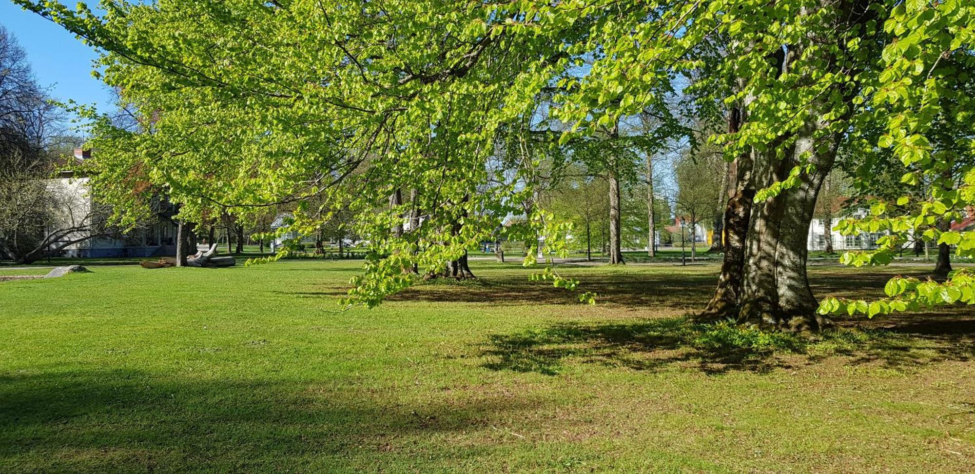 Moessebergs Vandrarhem Falköping Exteriér fotografie